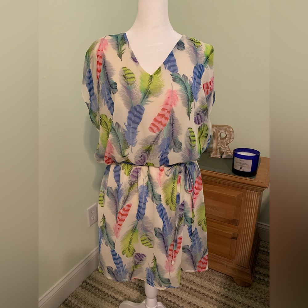 Beautiful Multi-Color Feather Dress, Size L